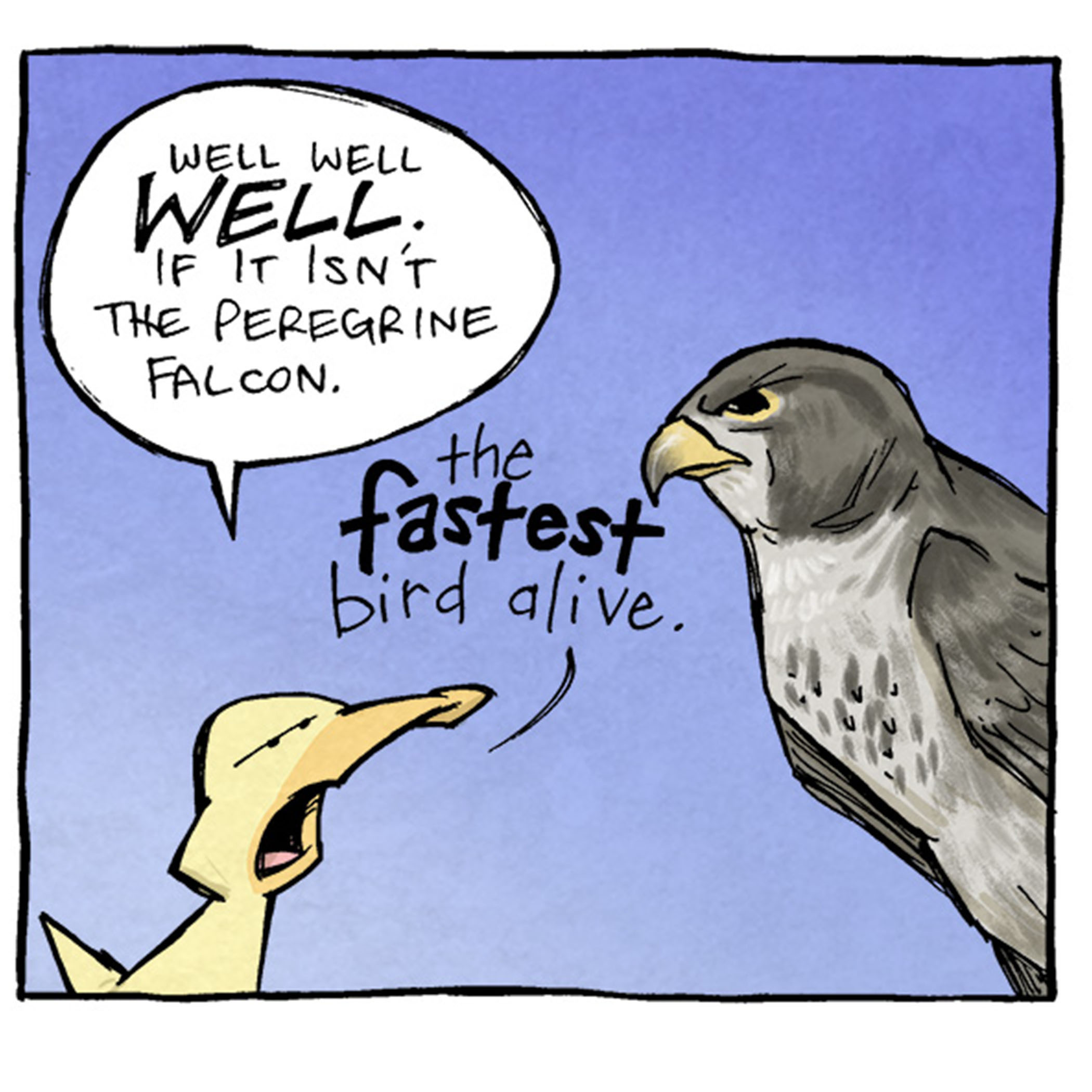 Here’s the description and transcript of the comic:

Panel 1: A smug-looking duck, ARTHUR, leans forward and addresses a Peregrine Falcon with exaggerated emphasis in his words. ARTHUR (speaking): "Well, well, WELL. If it isn't the Peregrine Falcon... the fastest bird alive."

Panel 2: ARTHUR looks more confident, smirking as he proposes a challenge. The falcon stares back with an expression of wary intrigue. ARTHUR (speaking): "Care to put a wager on that, Speedy? Let's see how fast you really are."

Panel 3: The Peregrine Falcon is shuffling three red cups at high speed on a table, participating in a classic shell game. ARTHUR watches intently.

Want 5,000 more comics like this? Join us at Patreon.com/sheldoncomics for the FULL Sheldon archives, art giveaways, fun community, and more! Sheldon Comics copyright Dave Kellett. Colors by Beth Reidmiller
