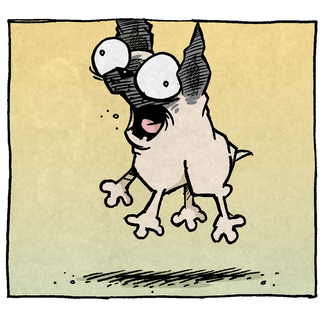 **Description and Transcript of Comic:**

The comic features four panels depicting a pug named Oso.

1. **Panel 1:**  
   Oso looks frantic, wide-eyed, and alarmed, standing on his hind legs. He seems caught in a burst of chaotic energy.  
   *(No dialogue)*  

2. **Panel 2:**  
   Oso still frantic, jumping the other way.
   *(No dialogue)*  

3. **Panel 3:**  
   Oso still frantic.
   *(No dialogue)*  

4. **Panel 4:**  
   Oso is now completely collapsed, lying on the ground in a heap, face down, snoring with a "Z above his head. The background is darker, suggesting complete exhaustion.  
   *Caption below the panel:*  
   *"This is how the week ends: not with a bang, but with a whimper."*

---

**Alt Text Addition:**  
Want 5,000 more comics like this? Join us at Patreon.com/sheldoncomics for the *FULL* Sheldon archives, art giveaways, fun community, and more! Sheldon Comics copyright Dave Kellett. Colors by Beth Reidmiller.