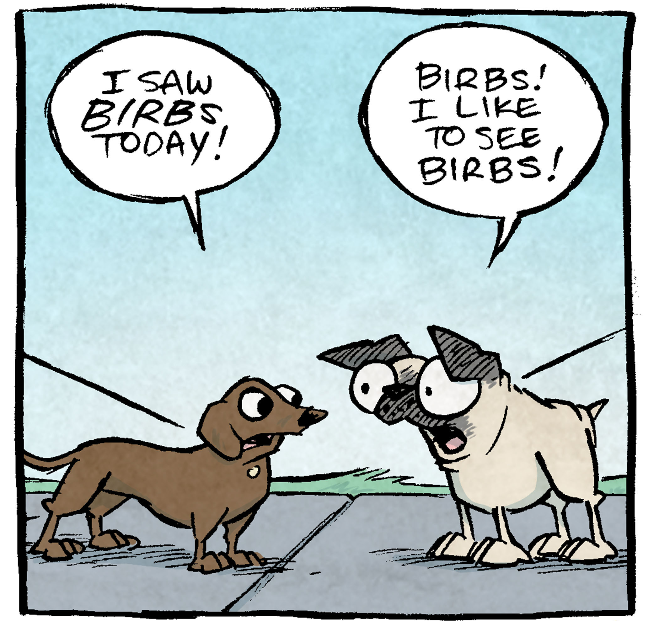 A small brown dachshund on a leash faces a pug on a leash. The background becomes more intense as they talk.

PANEL 1: 
DACHSHUND: I saw BIRBS today!
PUG: Birds! I like to see birds!

PANEL 2: 
DACHSHUND: I chased the birds away! Using my biggest barks!
PUG: Yes! Barks for Birds!

PANEL 3:
DACHSHUND: So many barks for birds! My brirbest barks!
PUG: Bird barks, Yes!

PANEL 4: Close up, super intense
DACHSHUND: I…I AM A GOOD DOG.
PUG: TELL ME AGAIN ABOUT THE BIRBS

——
Want 5,000 more comics like this? Join us at Patreon.com/sheldoncomics for the *FULL* Sheldon archives, art giveaways, fun community, and more! Sheldon Comics copyright Dave Kellett. Colors by Beth Reidmiller
