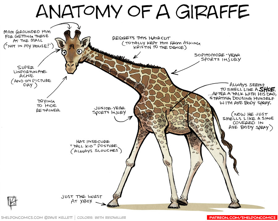 Anatomy of a Giraffe - Sheldon® Comic Strip